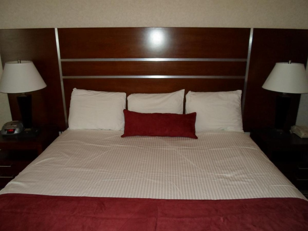 Arena Hotel Image 12