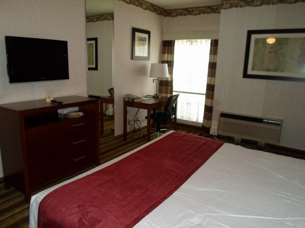 Arena Hotel Image 13