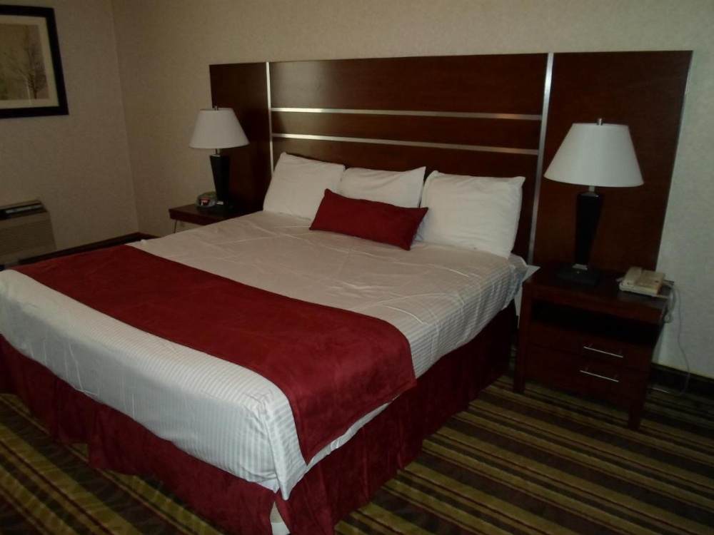Arena Hotel Image 14