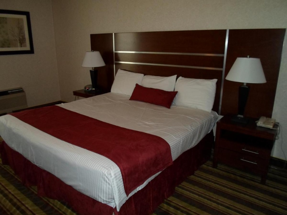 Arena Hotel Image 15