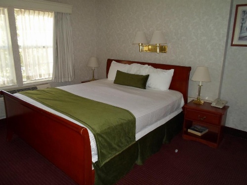 Arena Hotel image 25