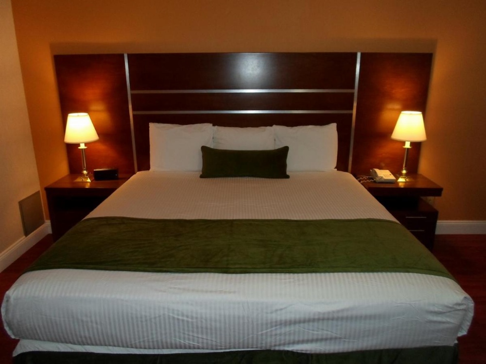 Arena Hotel Image 39