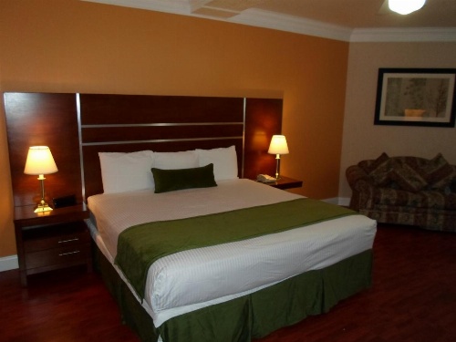 Arena Hotel image 40