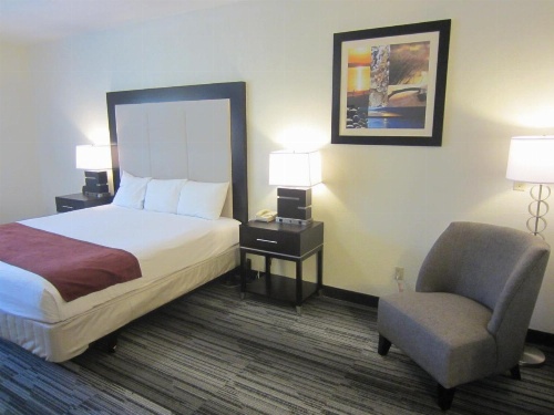 Arena Hotel image 49