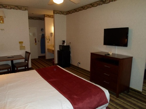 Arena Hotel image 9